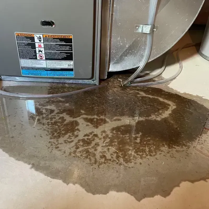 Appliance Leak Cleanup in Richmond, MO